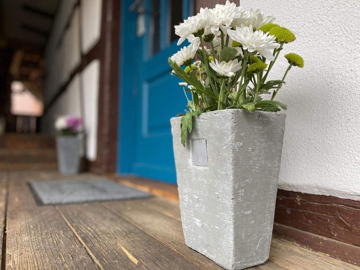 Apartamento Traumhaft Wohnen Im Haus Blum Herbolzheim Exterior foto