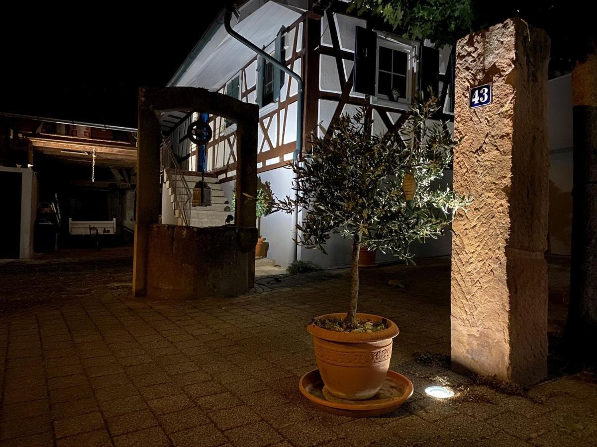 Apartamento Traumhaft Wohnen Im Haus Blum Herbolzheim Exterior foto